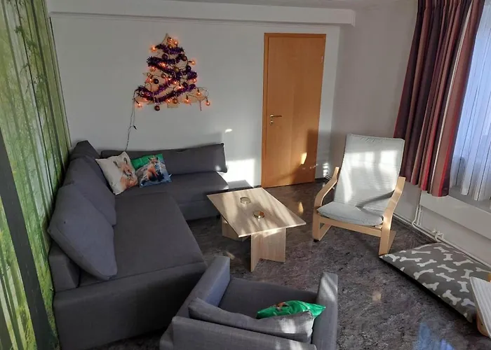 Apartment Genieten In Het Ertsgebergte Vanuit Vos Großrückerswalde