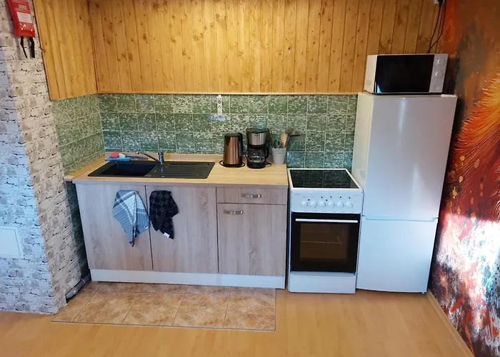 Genieten In Het Ertsgebergte Vanuit Vos Apartment Großrückerswalde